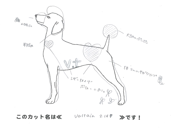 カットのデザインを考えました！